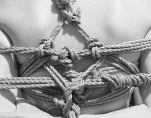 繩縛系，部分SM實踐者會使用美麗又複雜的綑綁技術